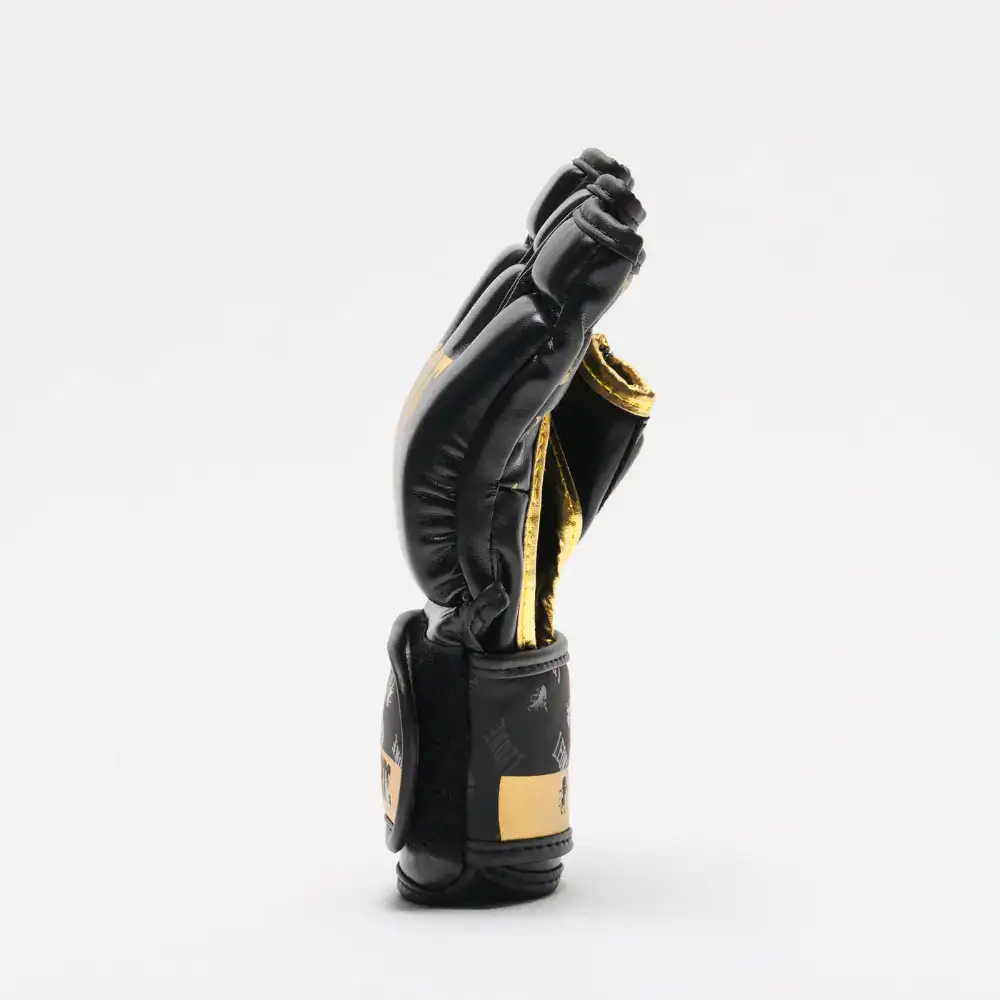 leone gp133 dna mma handschoenen zwart zijkant 2